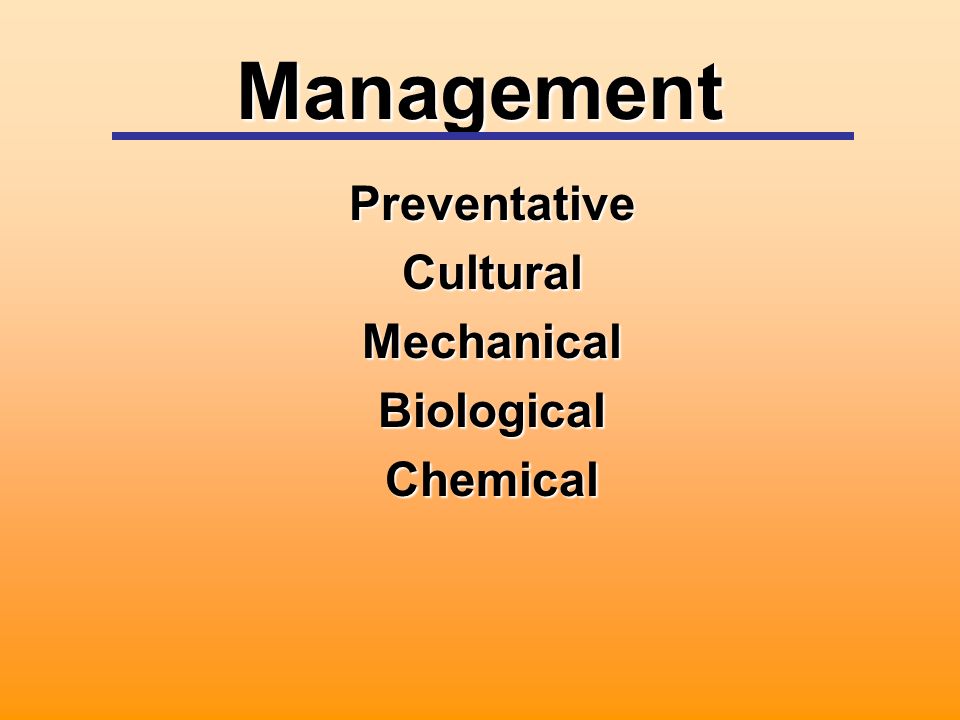 Management PreventativeCulturalMechanicalBiologicalChemical