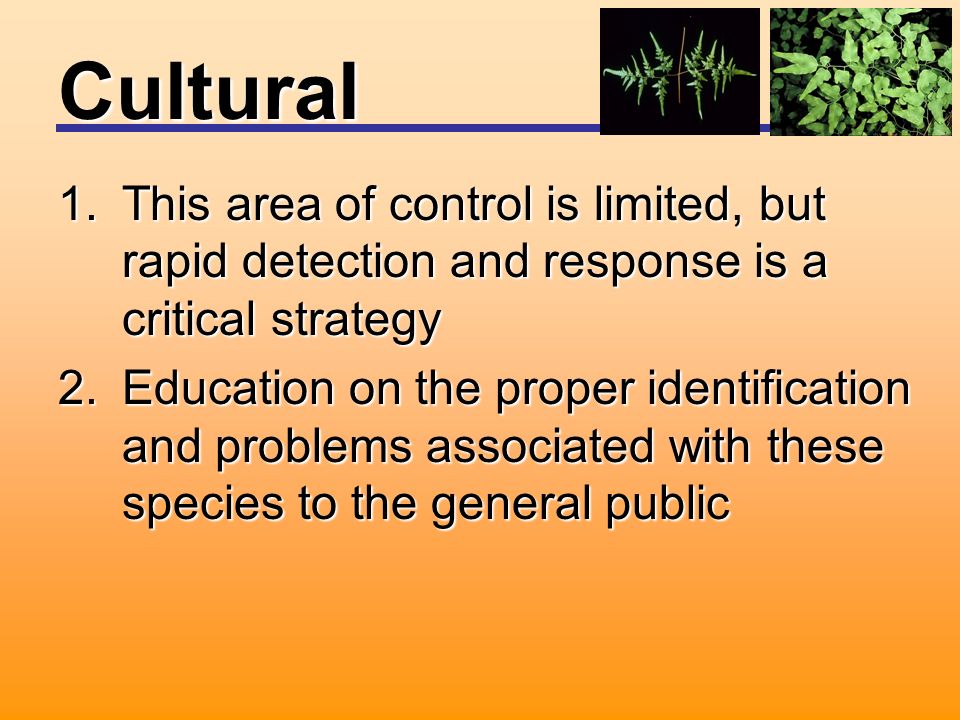 Cultural 1.This area of control is limited, but rapid detection and response is a critical strategy 2.Education on the proper identification and problems associated with these species to the general public