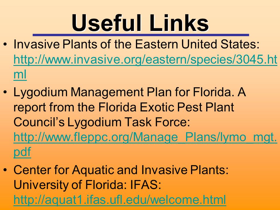 Useful Links Invasive Plants of the Eastern United States:   ml   ml Lygodium Management Plan for Florida.
