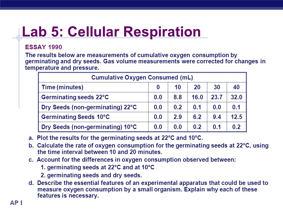 Cheap write my essay the effect of different temperature on the cell respiration.