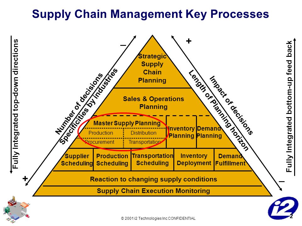 ms supply chain management