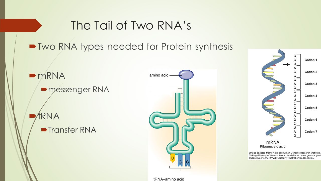 sythesis from sythesis from