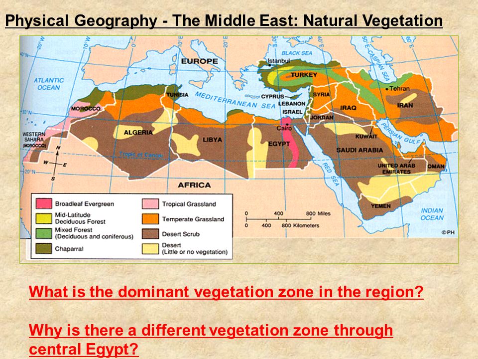 physical geography of the north east Africa: physical geography guided reading and review a as you read directions: as you read section 1, answer the following questions in the spaces provided 1. physical geography of the north east Africa: physical geography guided reading and review a as you read directions: as you read section 1, answer the following questions in the spaces provided 1.