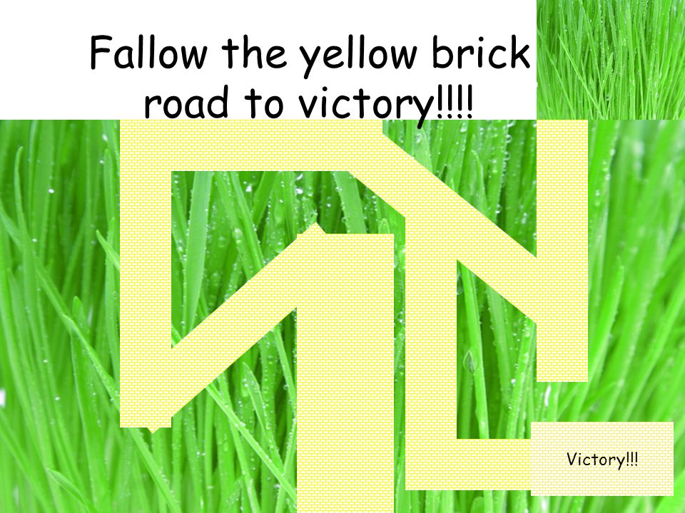 Fallow the yellow brick road to victory!!!! Victory!!!
