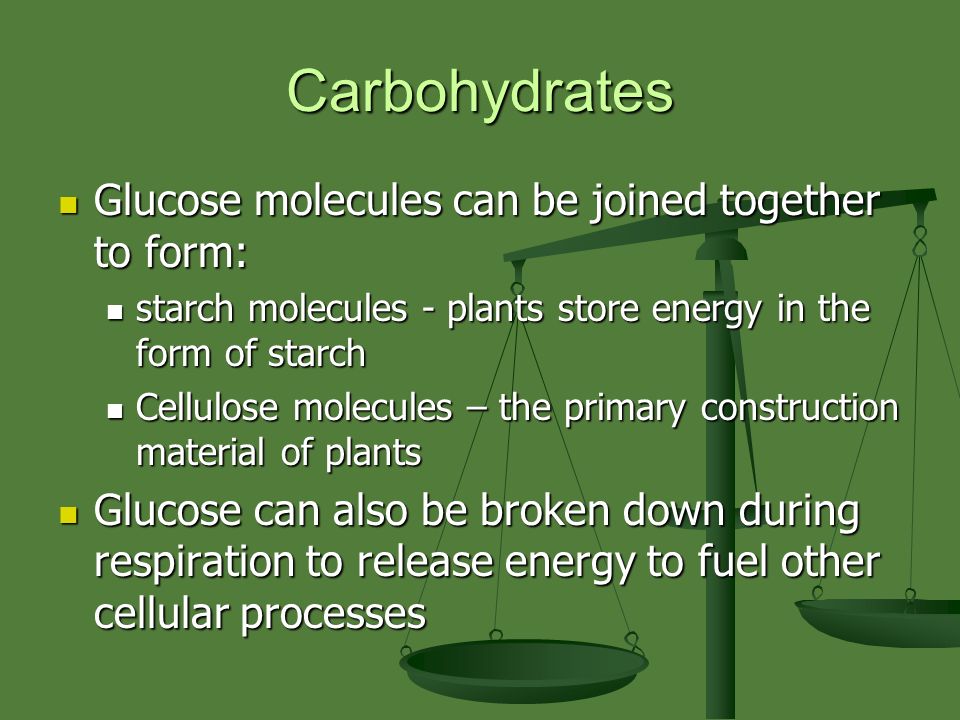 the nature of life section 2 4 the chemistry of living things plants store energy in the form of