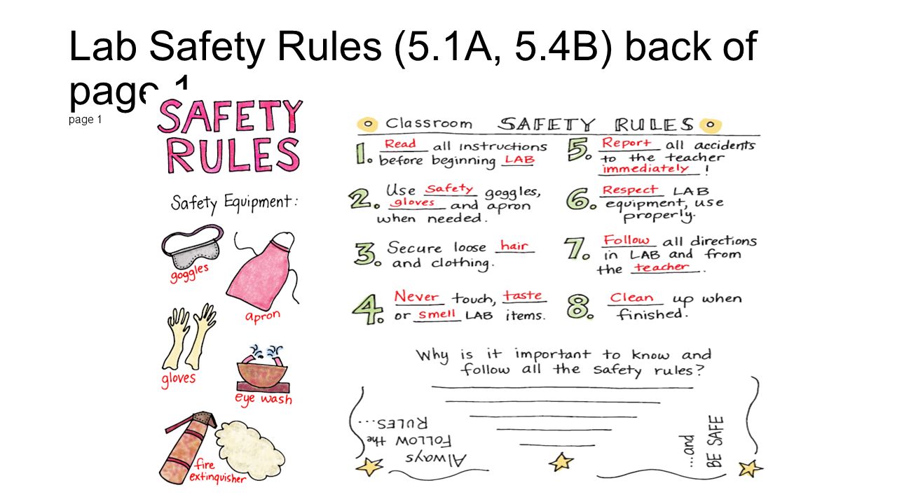lab safety rules Biology laboratory safety rules never work alone in the laboratory without permission and prior knowledge of the instructor do not engage in rowdy, playful, or. lab safety rules Biology laboratory safety rules never work alone in the laboratory without permission and prior knowledge of the instructor do not engage in rowdy, playful, or.