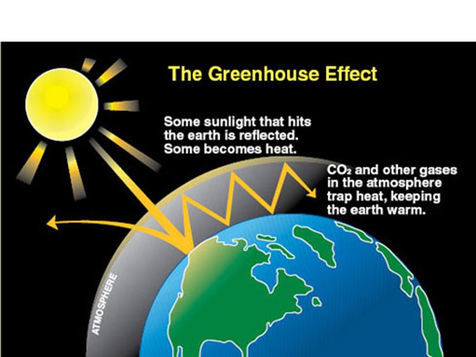effects of global warming in hospitality industry In adapting to the effects of climate change and these show that global warming will continue and accelerate the best estimates indicate that the earth. effects of global warming in hospitality industry In adapting to the effects of climate change and these show that global warming will continue and accelerate the best estimates indicate that the earth.