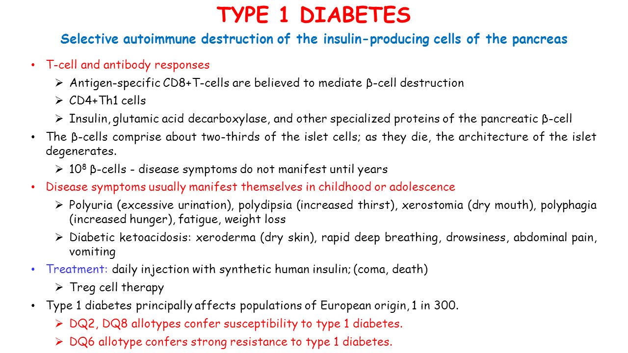 TYPE 1 DIABETES T-cell and antibody responses  Antigen-specific CD8+T-cells are believed to mediate β-cell destruction  CD4+Th1 cells  Insulin, glutamic acid decarboxylase, and other specialized proteins of the pancreatic β-cell The β-cells comprise about two-thirds of the islet cells; as they die, the architecture of the islet degenerates.