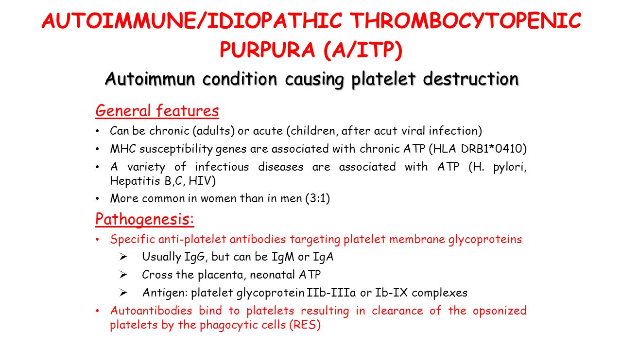 AUTOIMMUNE/IDIOPATHIC THROMBOCYTOPENIC PURPURA (A/ITP) Autoimmun condition causing platelet destruction General features Can be chronic (adults) or acute (children, after acut viral infection) MHC susceptibility genes are associated with chronic ATP (HLA DRB1*0410) A variety of infectious diseases are associated with ATP (H.