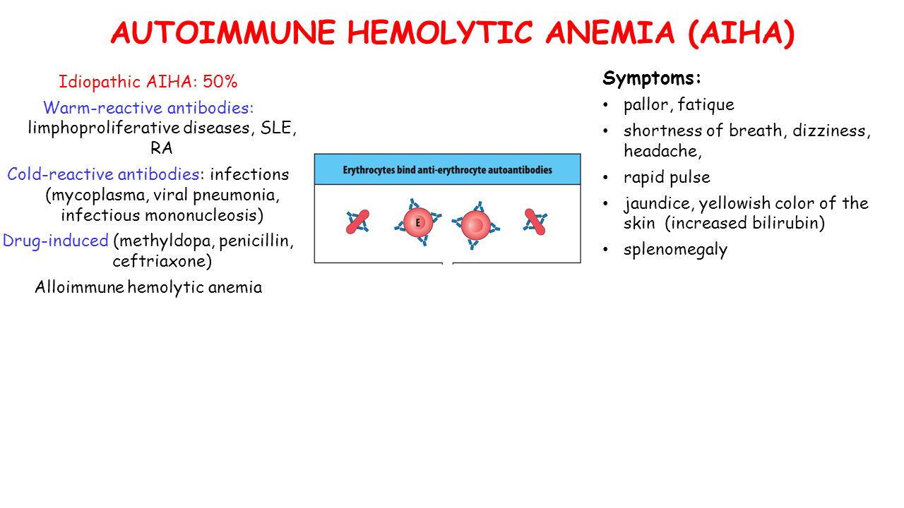 AUTOIMMUNE HEMOLYTIC ANEMIA (AIHA) Idiopathic AIHA: 50% Warm-reactive antibodies: limphoproliferative diseases, SLE, RA Cold-reactive antibodies: infections (mycoplasma, viral pneumonia, infectious mononucleosis) Drug-induced (methyldopa, penicillin, ceftriaxone) Alloimmune hemolytic anemia Symptoms: pallor, fatique shortness of breath, dizziness, headache, rapid pulse jaundice, yellowish color of the skin (increased bilirubin) splenomegaly