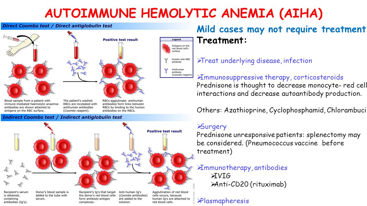 AUTOIMMUNE HEMOLYTIC ANEMIA (AIHA) Mild cases may not require treatment Treatment:  Treat underlying disease, infection  Immunosuppressive therapy, corticosteroids Prednisone is thought to decrease monocyte- red cell interactions and decrease autoantibody production.