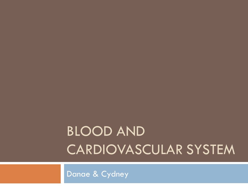 BLOOD AND CARDIOVASCULAR SYSTEM Danae & Cydney