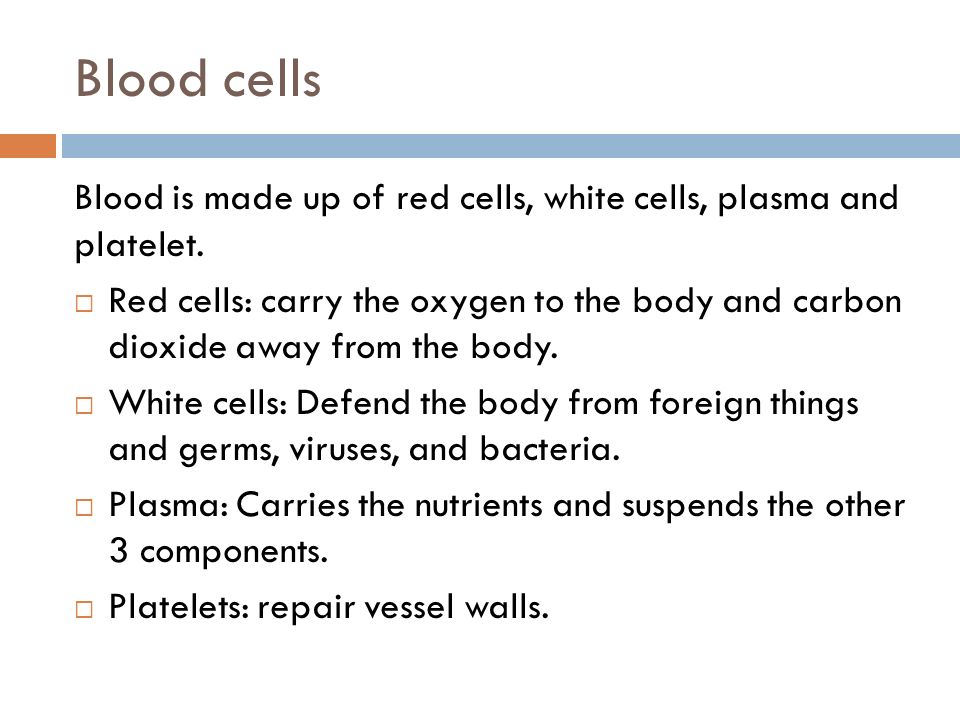 Blood cells Blood is made up of red cells, white cells, plasma and platelet.
