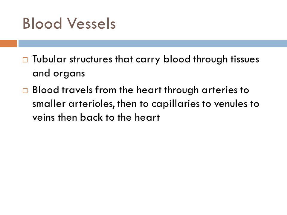 Blood Vessels  Tubular structures that carry blood through tissues and organs  Blood travels from the heart through arteries to smaller arterioles, then to capillaries to venules to veins then back to the heart