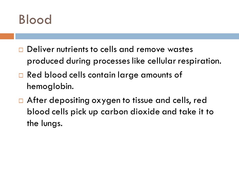 Blood  Deliver nutrients to cells and remove wastes produced during processes like cellular respiration.