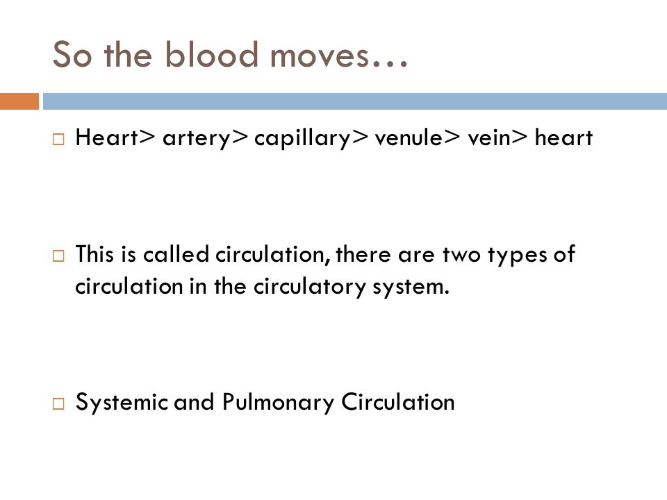 So the blood moves…  Heart> artery> capillary> venule> vein> heart  This is called circulation, there are two types of circulation in the circulatory system.