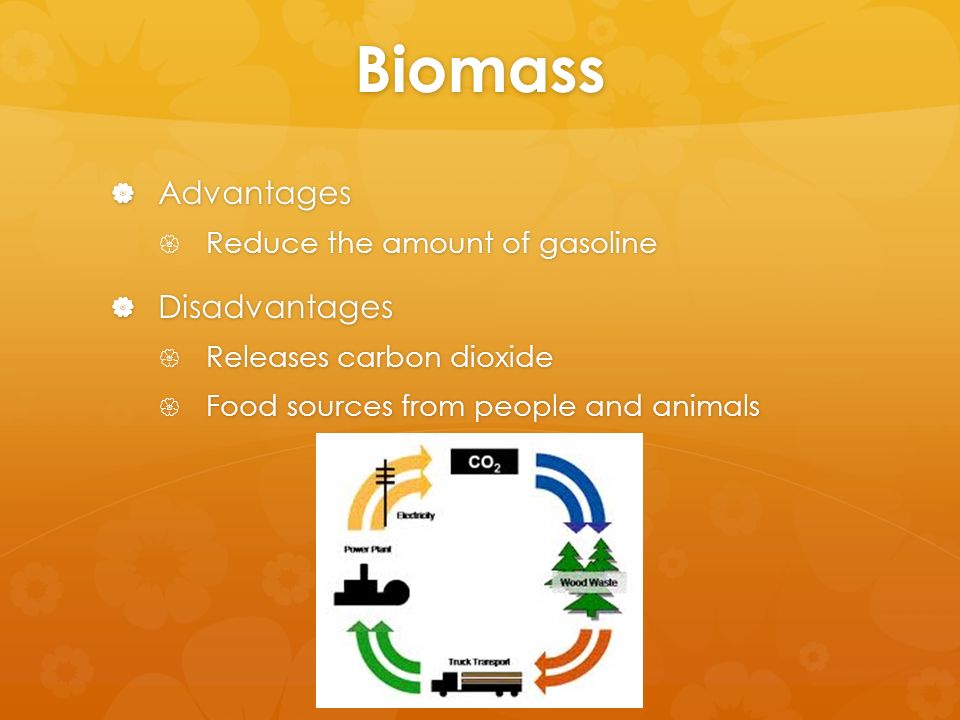 Biomass  Advantages  Reduce the amount of gasoline  Disadvantages  Releases carbon dioxide  Food sources from people and animals
