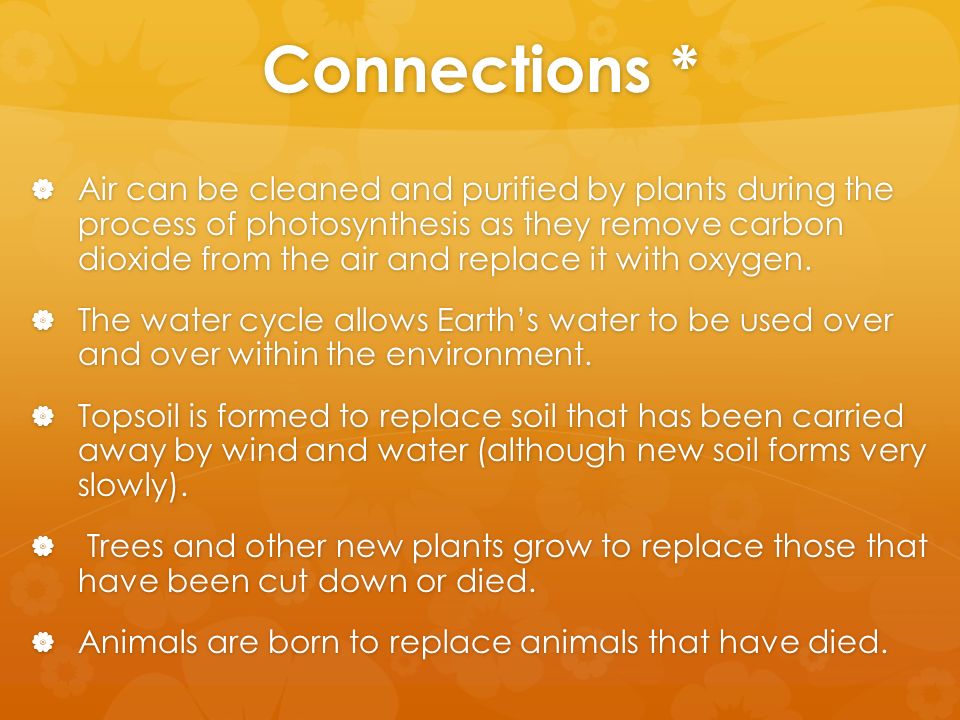 Connections *  Air can be cleaned and purified by plants during the process of photosynthesis as they remove carbon dioxide from the air and replace it with oxygen.