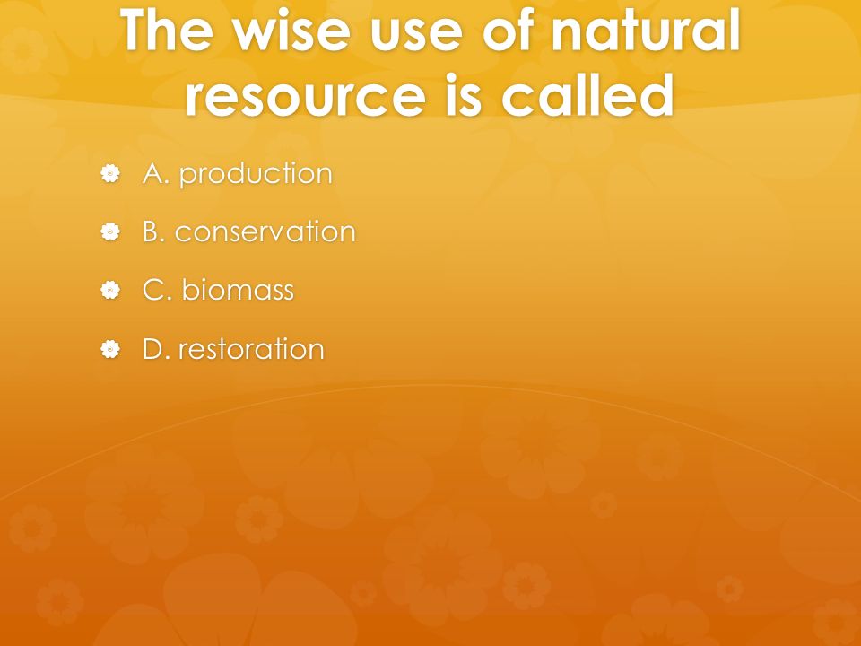 The wise use of natural resource is called  A. production  B.