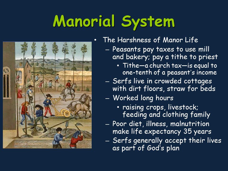 Manorial System The Harshness of Manor Life – Peasants pay taxes to use mill and bakery; pay a tithe to priest Tithe—a church tax—is equal to one-tenth of a peasant’s income – Serfs live in crowded cottages with dirt floors, straw for beds – Worked long hours raising crops, livestock; feeding and clothing family – Poor diet, illness, malnutrition make life expectancy 35 years – Serfs generally accept their lives as part of God’s plan
