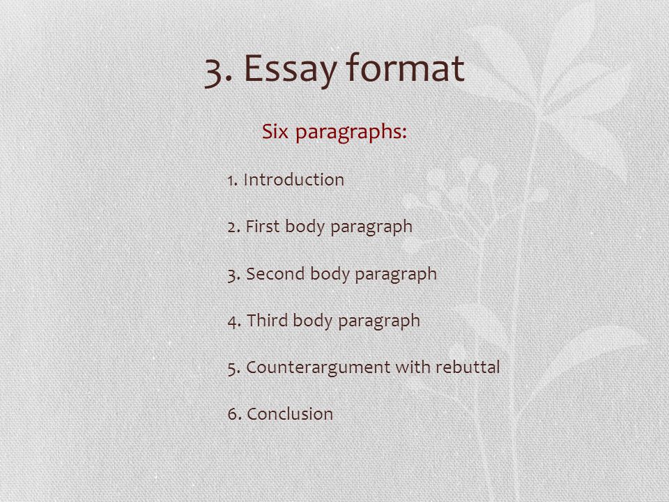 argumentative essay format