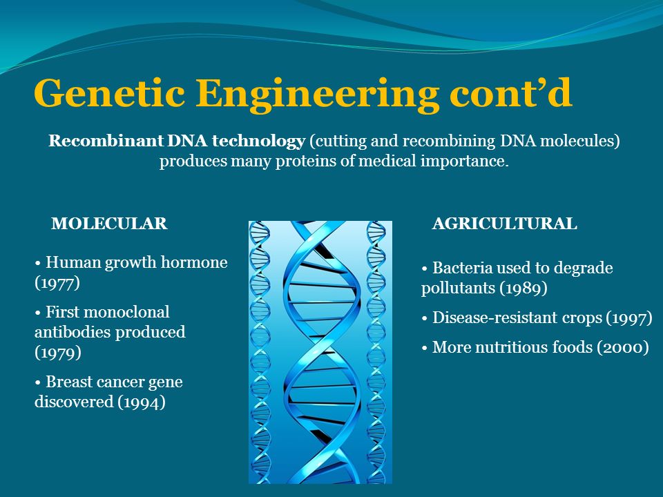the importance of genetic engineering the importance of genetic engineering