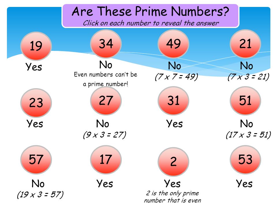 Are These Prime Numbers.