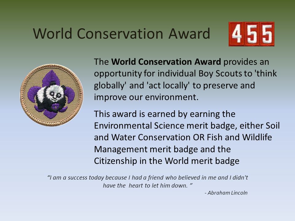 environmental science merit badge