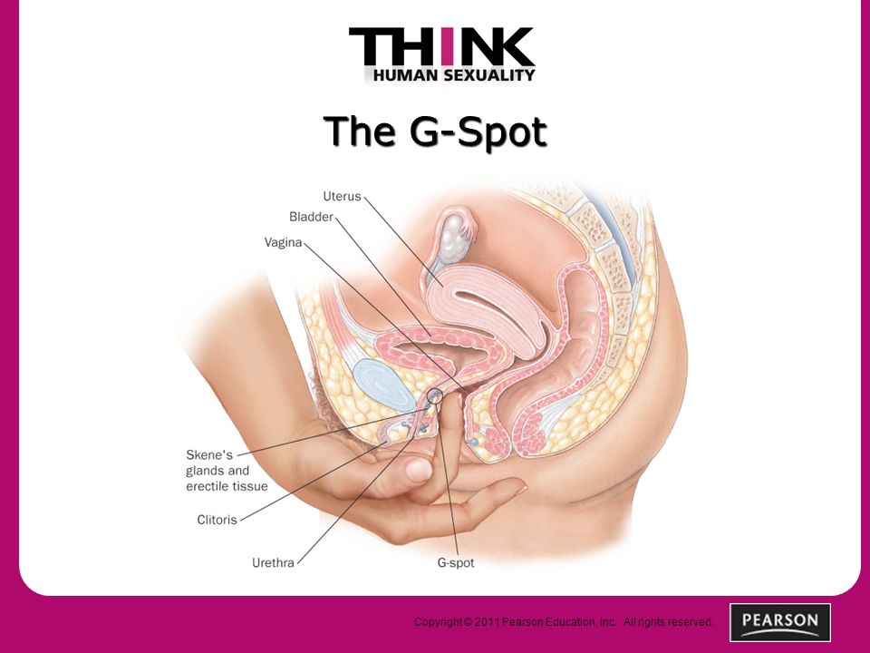 G spot and orgasm
