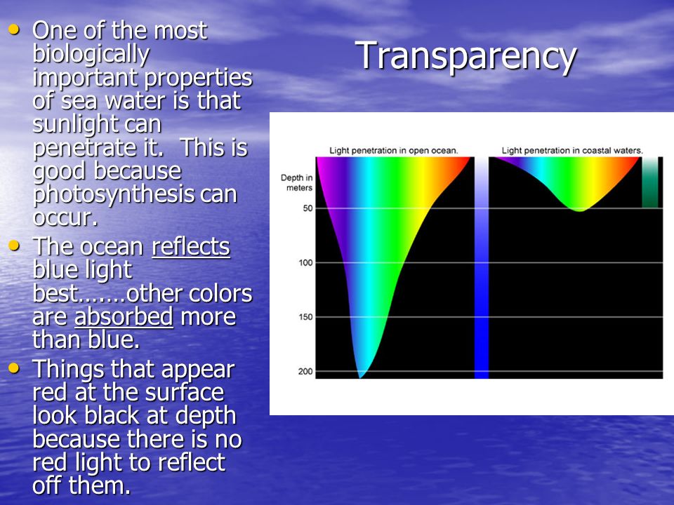 Color of light that penetrates seawater Lesbian chronicles 2 part 1