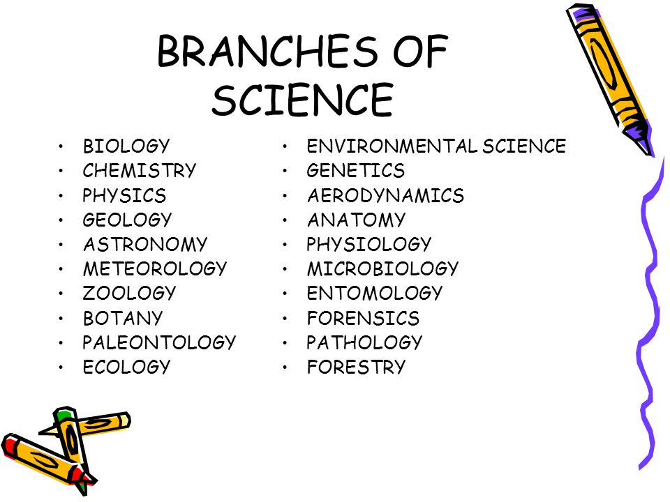 Worksheet Branches Of Science unit 1 the nature of science goal to explain and 3 branches biology chemistry physics geology astronomy meteorology zoology botany paleontology ecology environmental scien