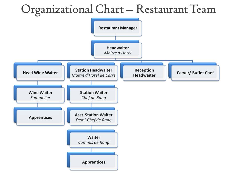 Restaurant Kitchen Organization Chart near east university school of tourism and hospitality management Restaurant Kitchen Organization Chart near east university school of tourism and hospitality management