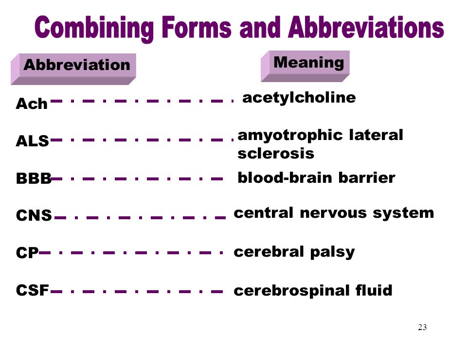 1 the nervous system spinal cord brain nerves 2 objectives after the combining form meaning spinal cord is