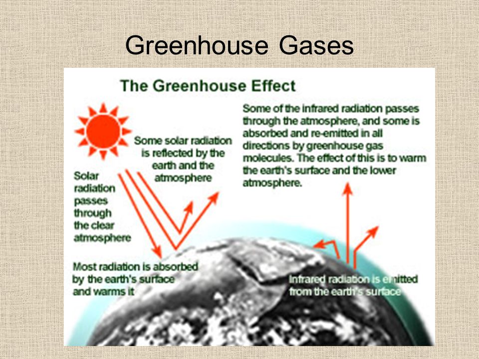 essay about global environmental issues Free essay: in the second column, describe in complete sentences how the issue affects global health environmental issue how does the issue affect global. essay about global environmental issues Free essay: in the second column, describe in complete sentences how the issue affects global health environmental issue how does the issue affect global.