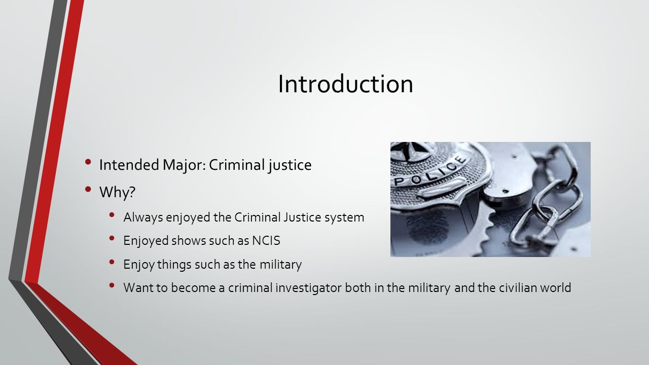 an introduction to the criminal justice systems an introduction to the criminal justice systems
