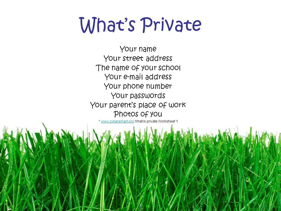 What’s Private Your name Your street address The name of your school Your  address Your phone number Your passwords Your parent’s place of work Photos of you *   What is private Worksheet 1www.cybersmart.org