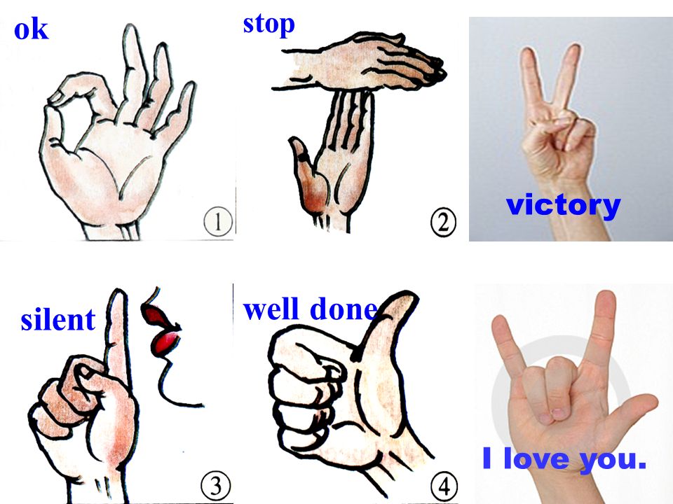Body Language Essay