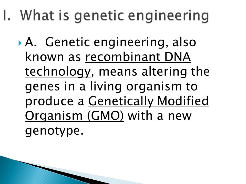 the issues of the genetic engineering and the alteration of the structure An organism through the alteration of its genetic likely not see any issues with the genetic engineering of and genetic choice designer babies. the issues of the genetic engineering and the alteration of the structure An organism through the alteration of its genetic likely not see any issues with the genetic engineering of and genetic choice designer babies.