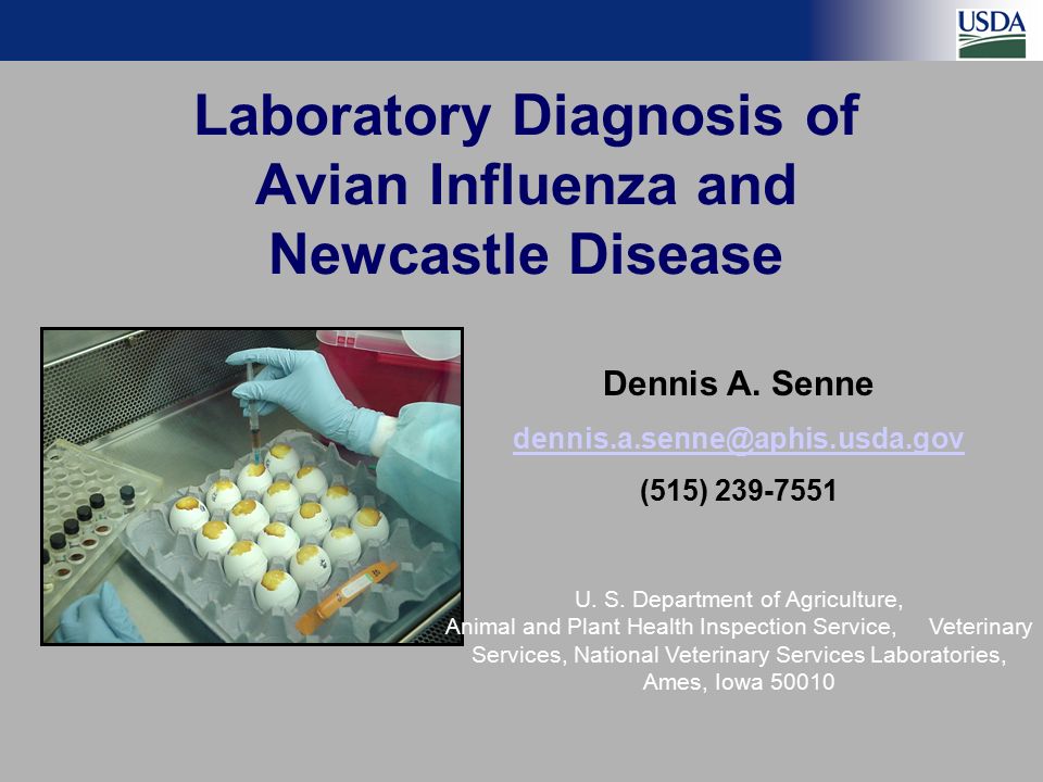Newcastle Disease Developments in Veterinary Virology
