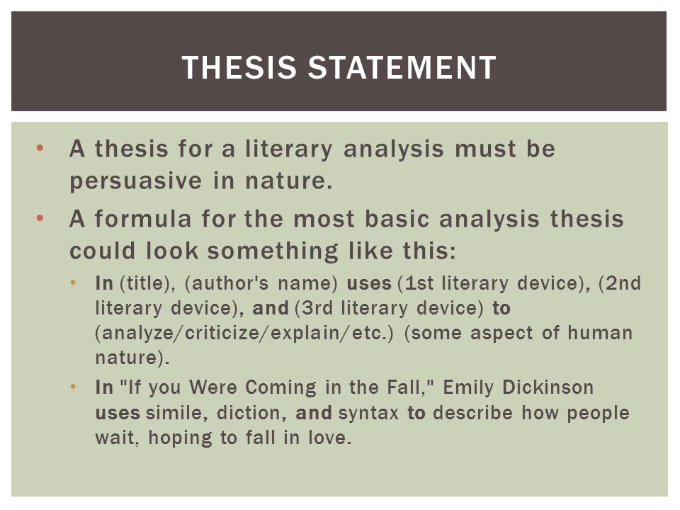 Sample Literary Analysis