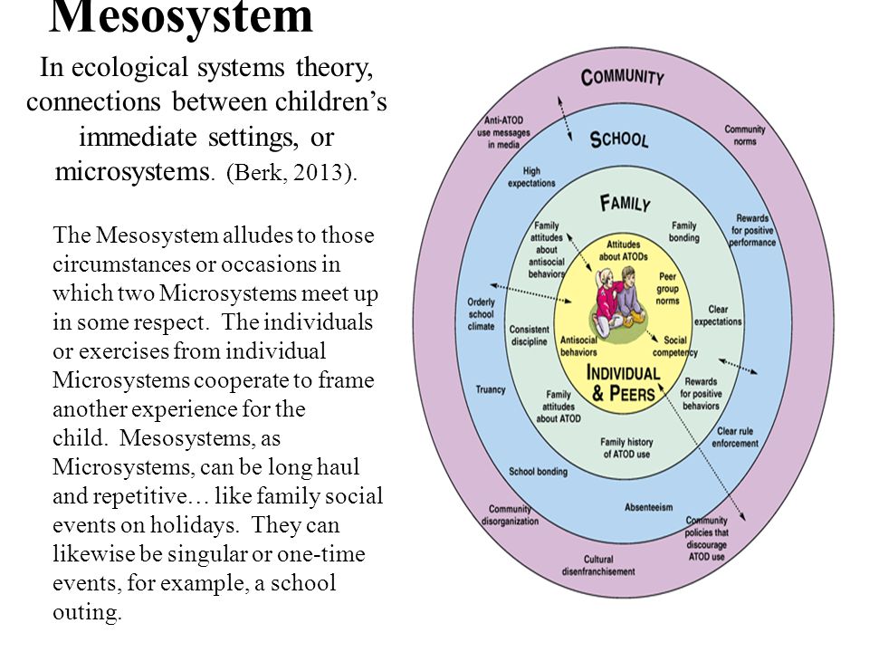bioecological systems August 2008 issue youth eating and exercise: a bioecological perspective by terri lisagor, edd, ms, rd, and scott w plunkett, phd today’s dietitian. bioecological systems August 2008 issue youth eating and exercise: a bioecological perspective by terri lisagor, edd, ms, rd, and scott w plunkett, phd today’s dietitian.