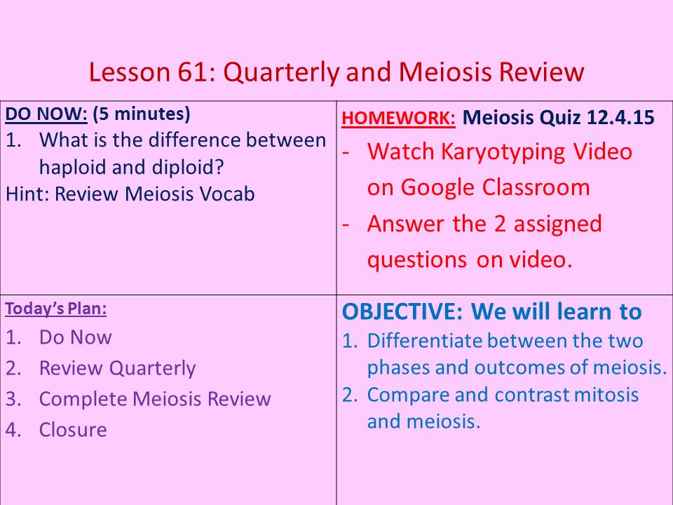 Mitosis And Meiosis Essay