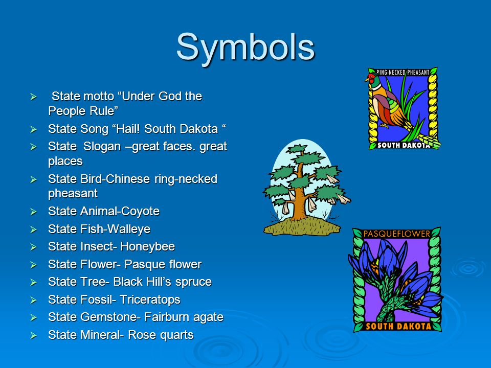 symbols state motto under god the people rule state song hail