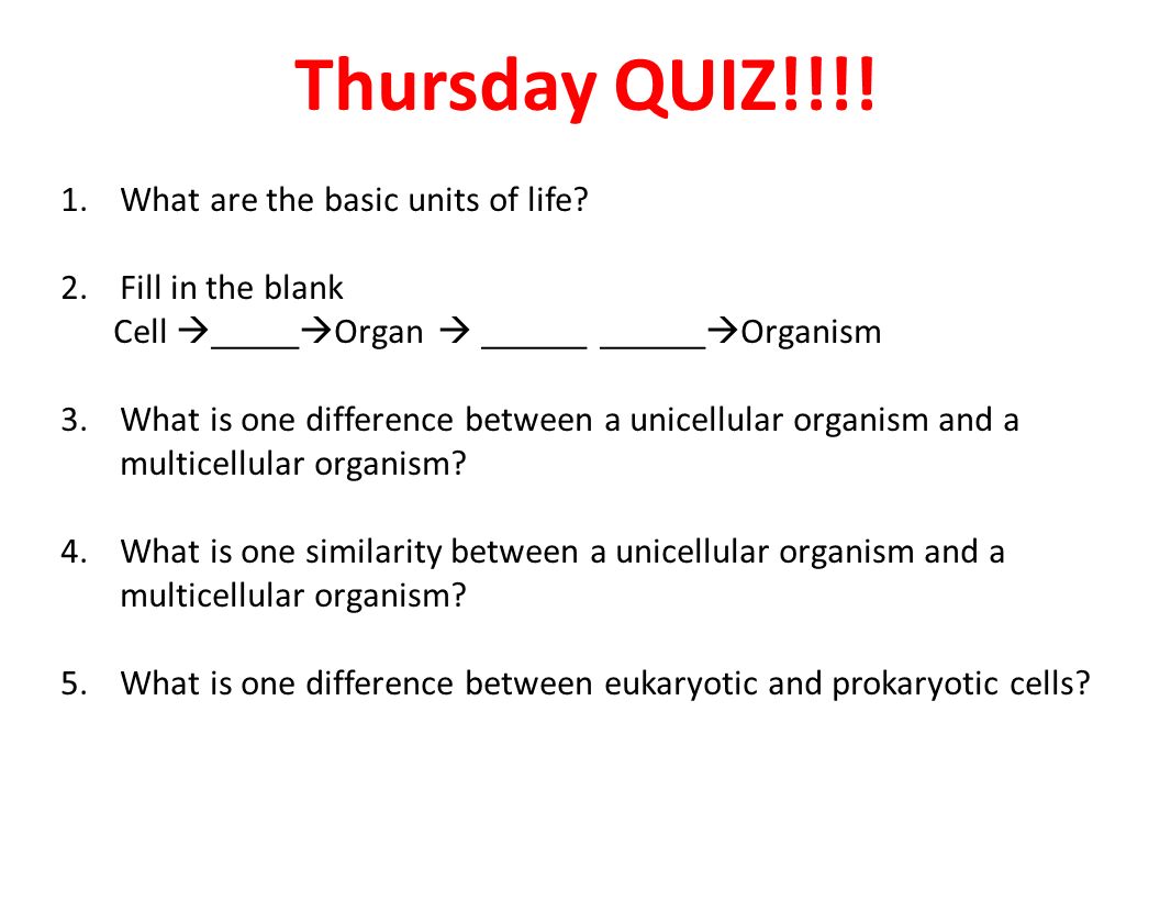 worksheet Unicellular And Multicellular Worksheet monday sept 21th 1 bell ringer review with your neighbor the 15 thursday quiz