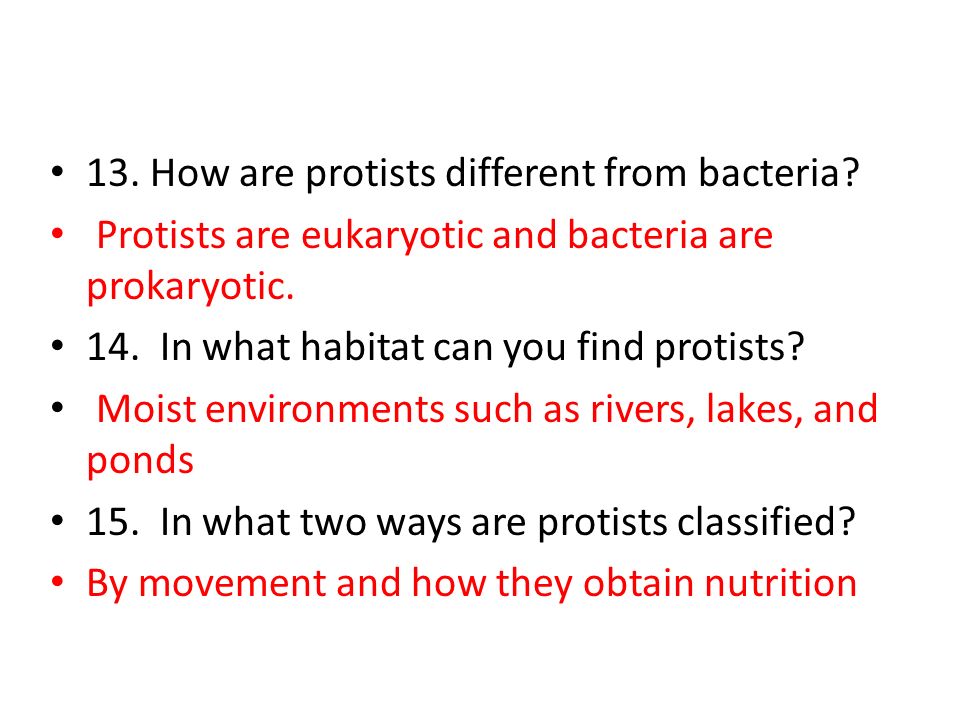How do protists differ from bacteria and archaea?