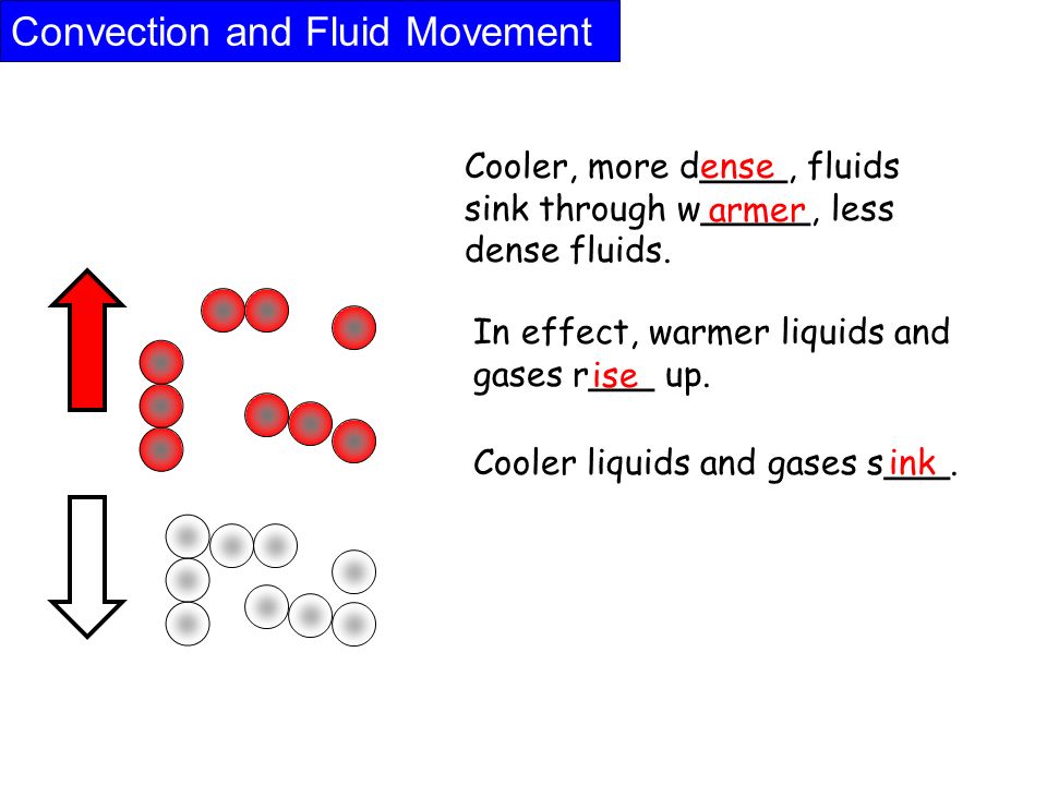 Convection and Fluid Movement Cooler, more d____, fluids sink through w_____, less dense fluids.