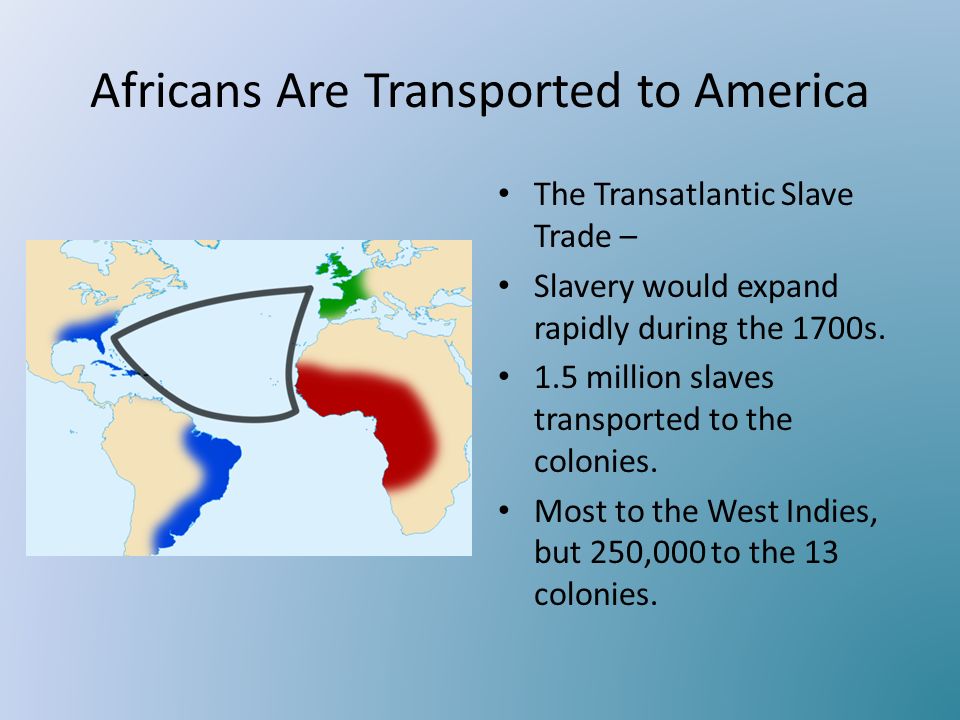an analysis of the european role in the trans atlantic slave trade African passages, lowcountry adaptations the trans-atlantic slave trade occurred within a interest in the trans-atlantic slave trade across european colonies. an analysis of the european role in the trans atlantic slave trade African passages, lowcountry adaptations the trans-atlantic slave trade occurred within a interest in the trans-atlantic slave trade across european colonies.