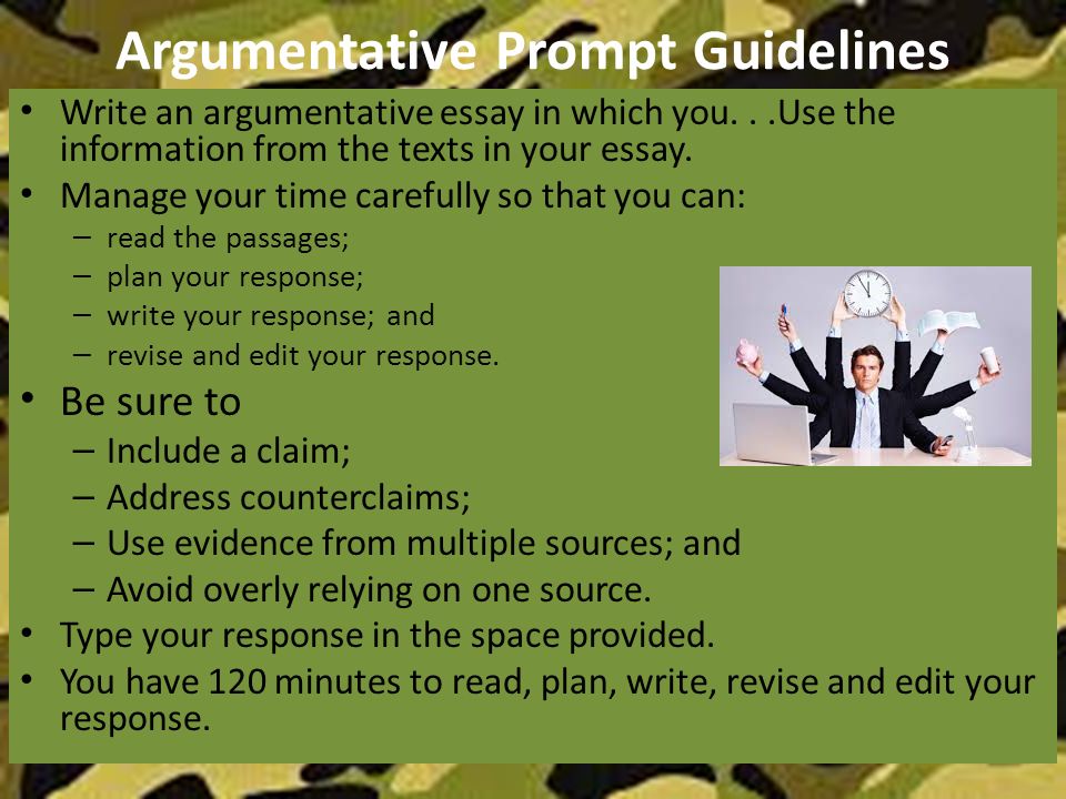 argumentative essay guidelines