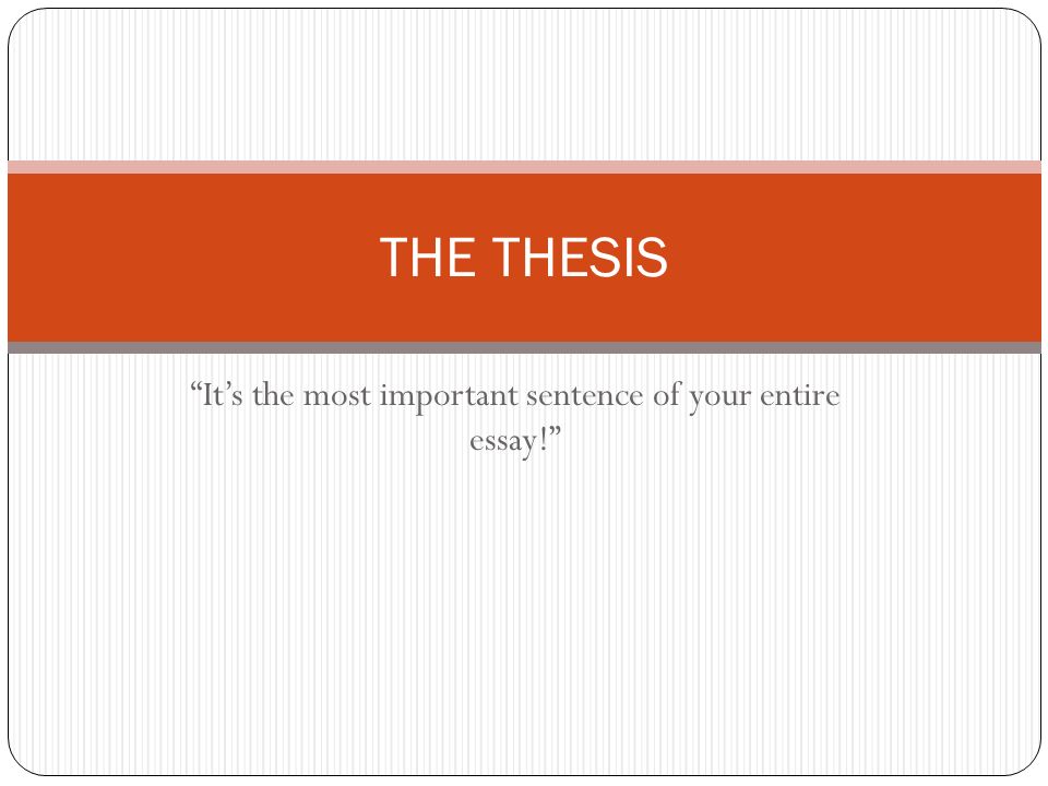 of your essay in most