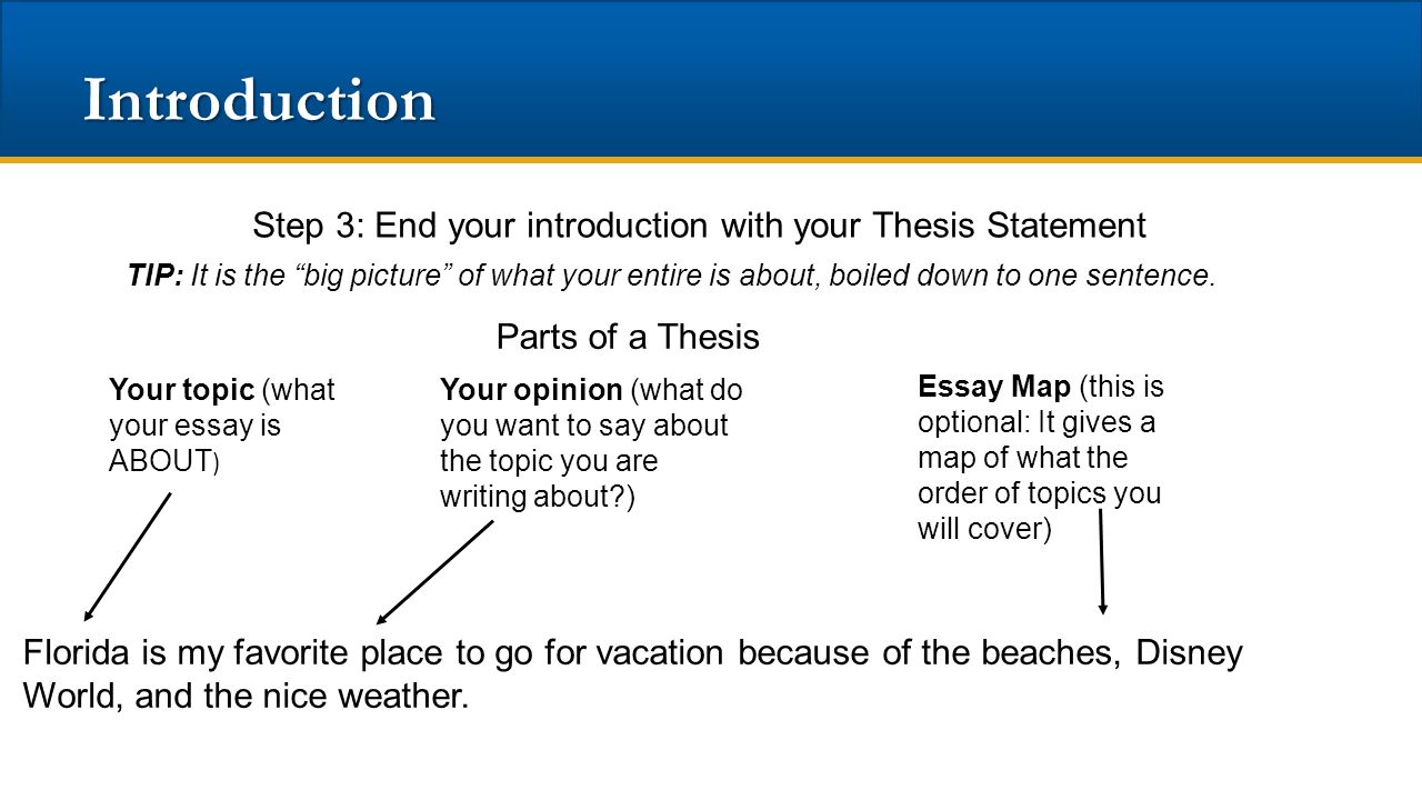 Where to place thesis in introduction